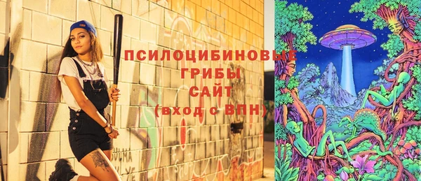 дживик Арсеньев