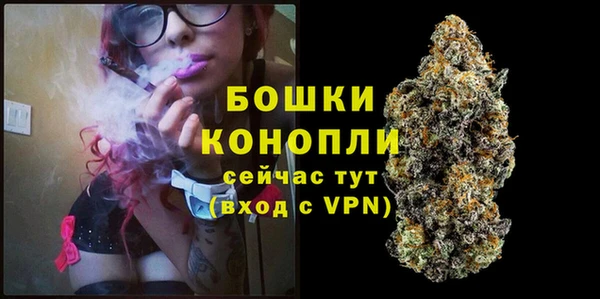 винт Армянск